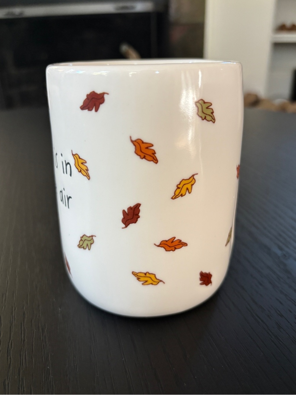 Peanuts x Rae Dunn Snoopy Plaid Autumn Mug Fall is in the Air - Picture 9 of 12
